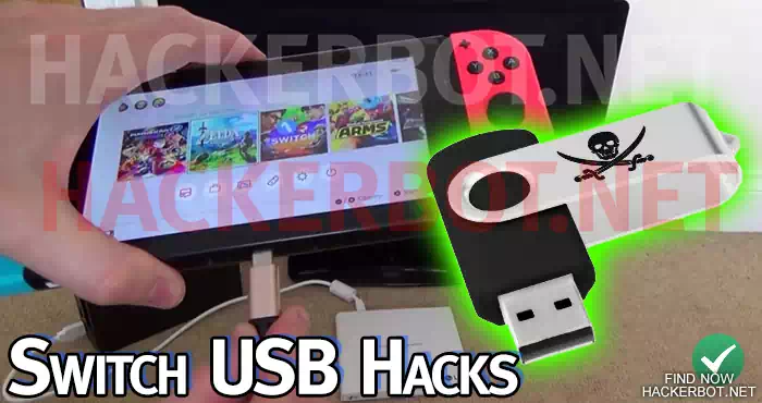 nintendo switch usb stick hacks