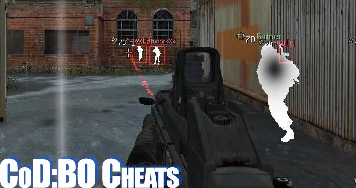 call of duty 2 cheats