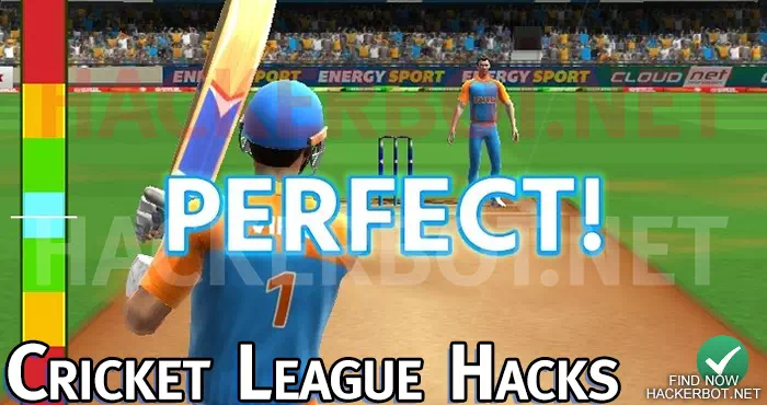 cricket league perfect hits