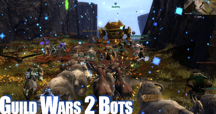 guild wars 2 bots