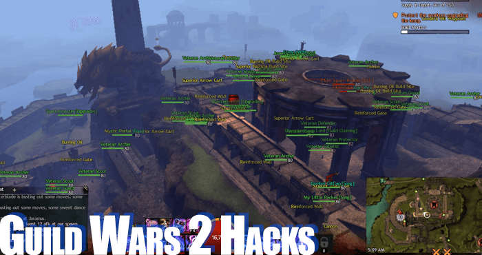 Guildwars 2 Multihack