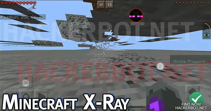 מהדורת כיס Minecraft X Ray ESP