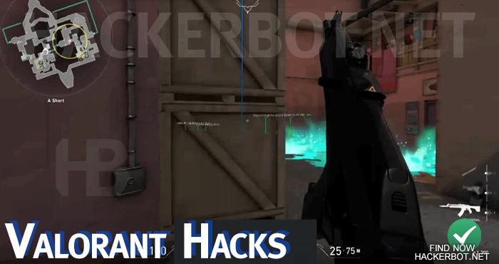 valorant hacks