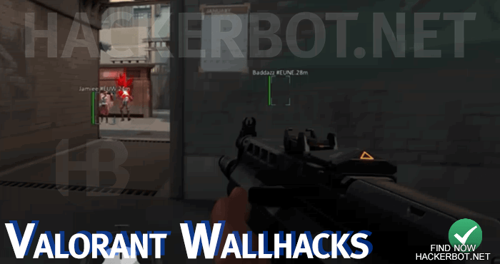 valorant wallhacks