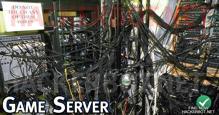 game server