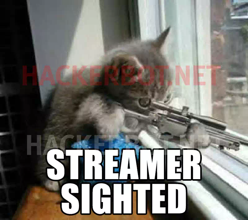 stream sniping cat meme