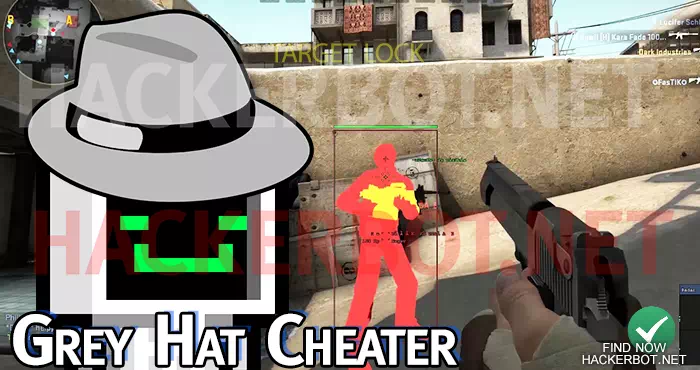 grey hat game cheater