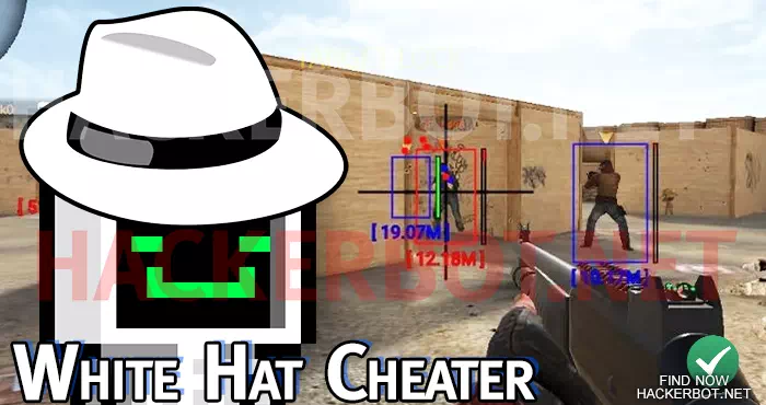 white hat game hacker
