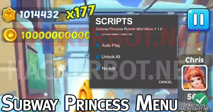 Mod Menu Features